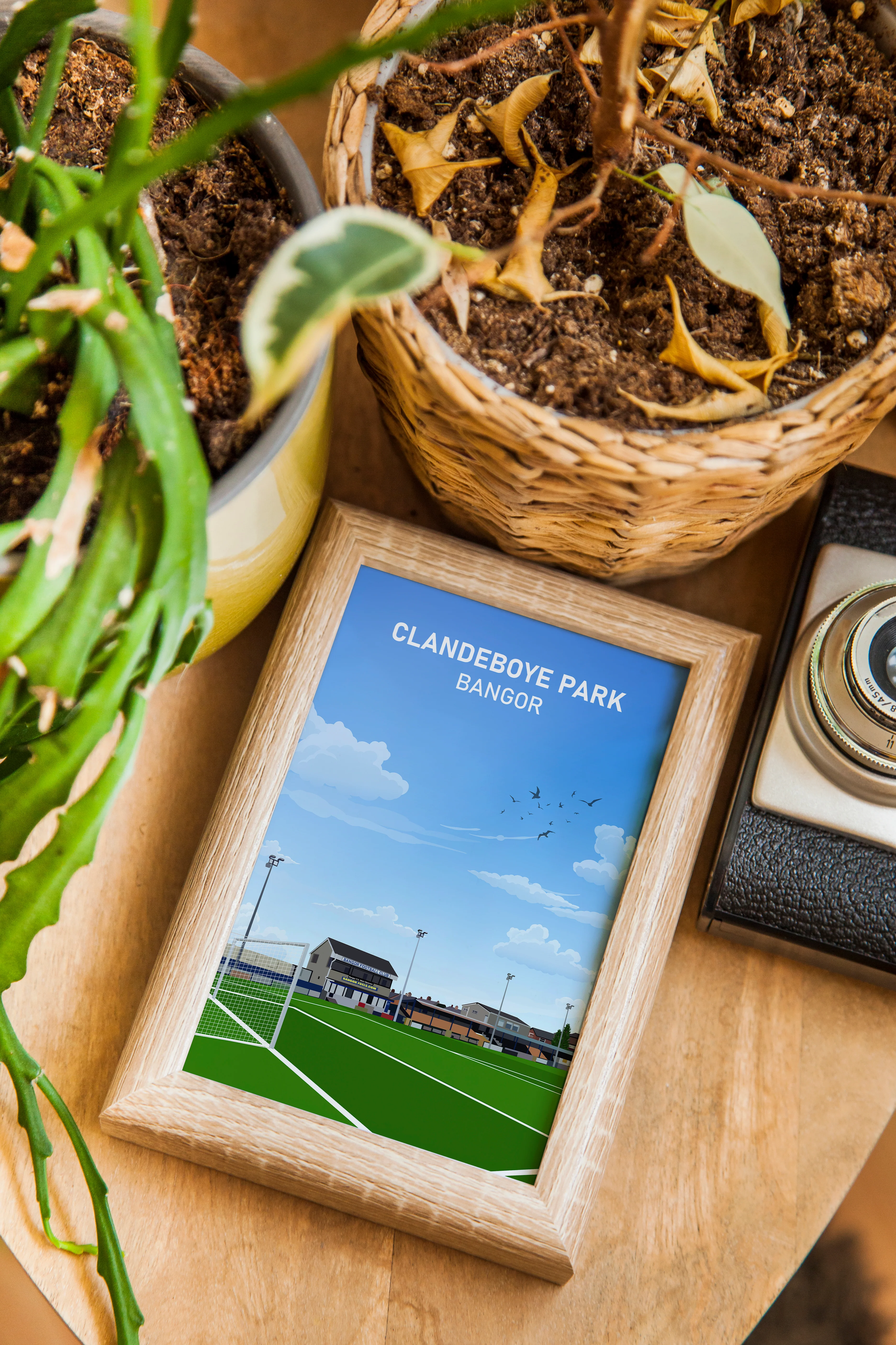 Bangor FC Clandeboye Park Heavyweight Art Print - Football Post - Perfect Gift - Birthday Present for Him - Image 5